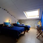 Ibis Redibis *