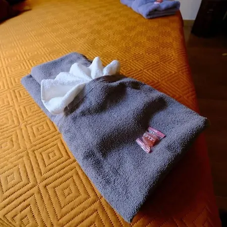 Ibis Redibis * Napoli